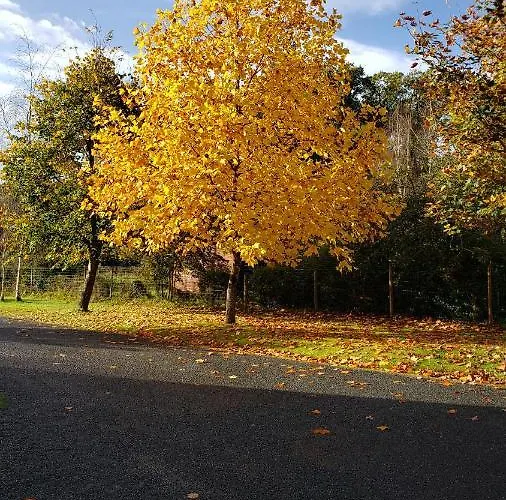 לינה וארוחת בוקר Le Calme 3*